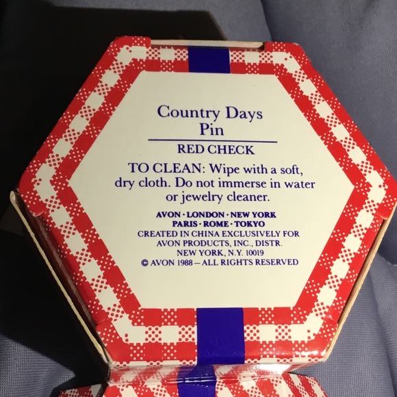 Avon Country Days Straw Hat Pin & Red Checked Bow Earrings~Vintage New in Box - Picture 3 of 9